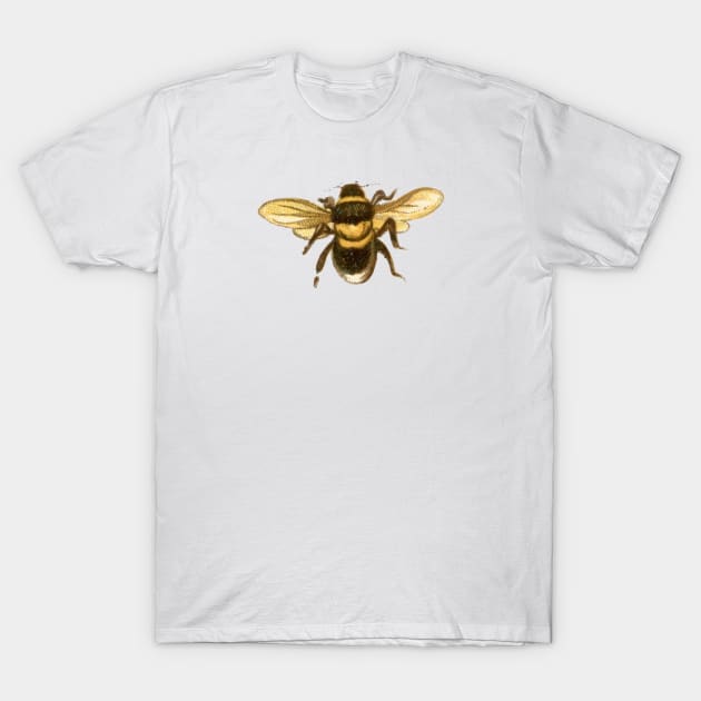 Honey Bee T-Shirt by Charm Clothing